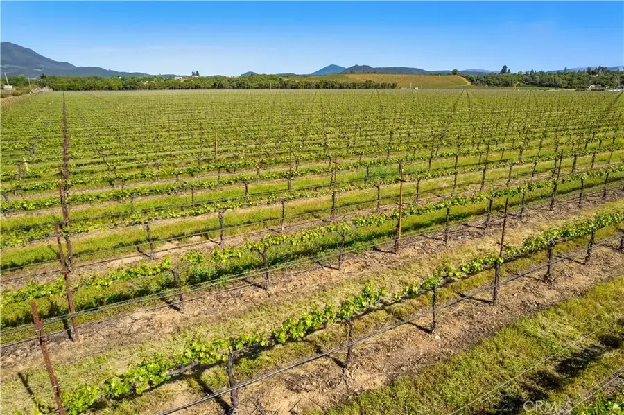 1650 Bell Hill, Kelseyville, CA 95451 - Image #2