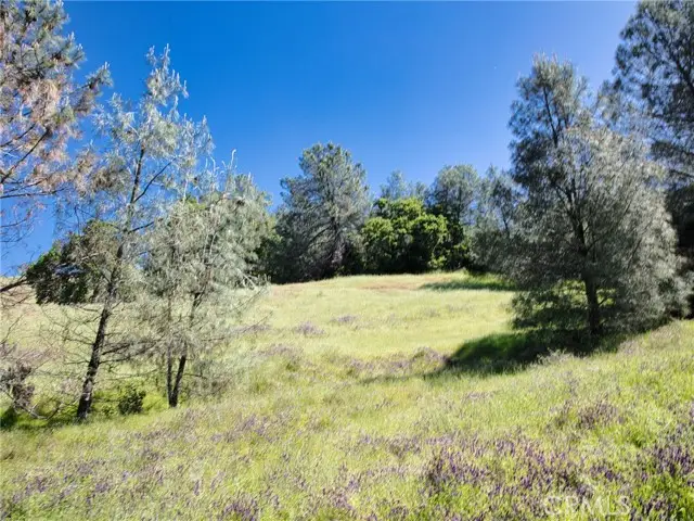 6983 Leslie, Lucerne, CA 95458 - Image #3