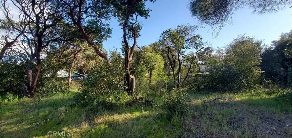 13577 Sonoma, Clearlake, CA 95422 - #1
