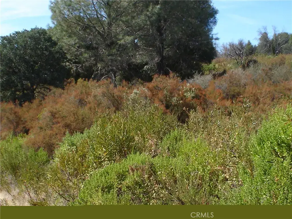 16344 4th, Clearlake, CA 95422 - Image #1