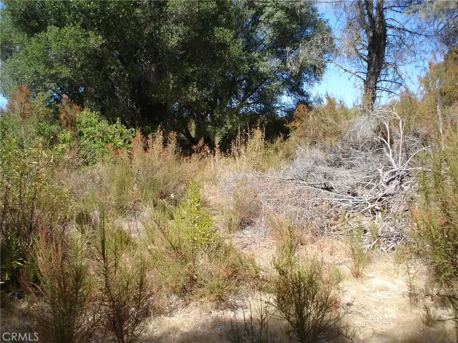 16344 4th, Clearlake, CA 95422 - Image #2