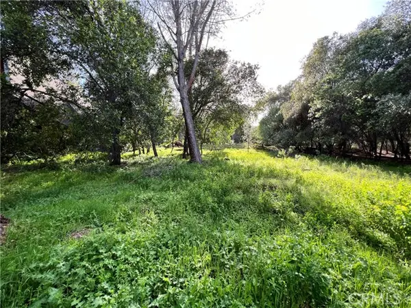 3356 Southlake, Kelseyville, CA 95451