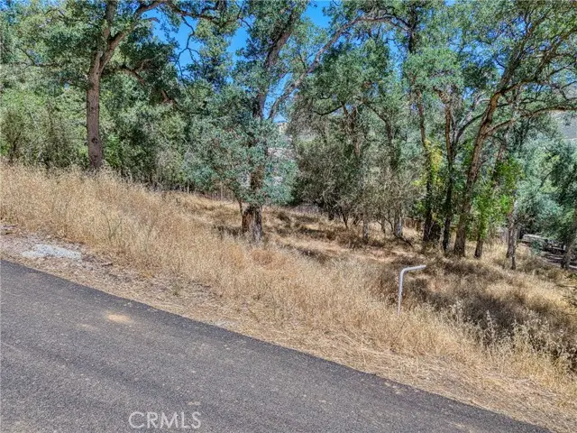 13020 Ridge, Clearlake, CA 95422 - #3