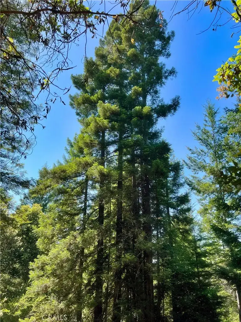 5801 Flynn Creek, Comptche, CA 95427 - Image #3