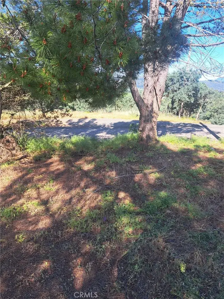 16125 14th, Clearlake, CA 95422 - #3