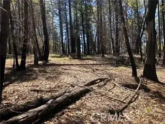 6847 High Valley, Lucerne, CA 95458 - Image #2