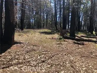 6847 High Valley, Lucerne, CA 95458 - Image #3