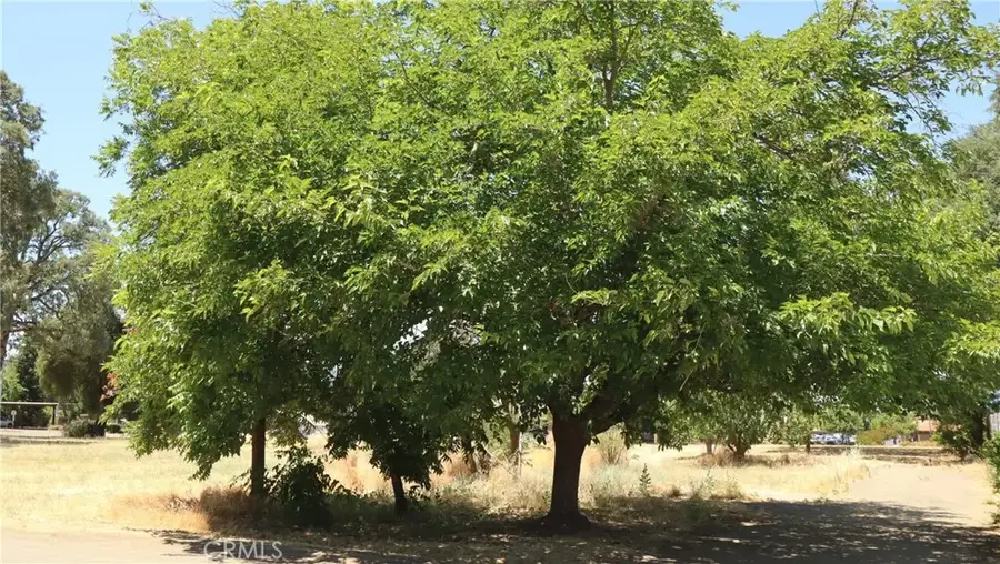 3460 Emerson, Clearlake, CA 95422 - Image #2