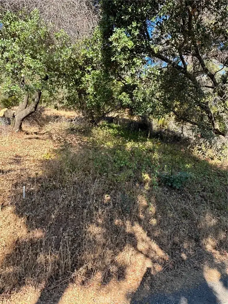 12588 Widgeon, Clearlake Oaks, CA 95423 - Image #2