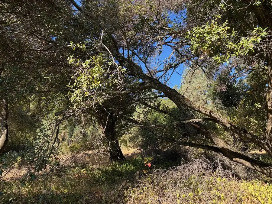 12588 Widgeon, Clearlake Oaks, CA 95423 - Image #3