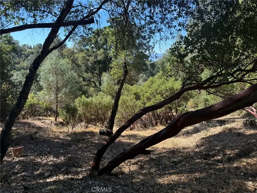 3293 Clay, Nice, CA 95464 - Image #3