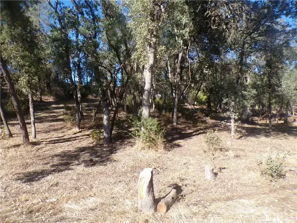 15608 36th, Clearlake, CA 95422