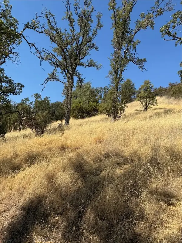 16422 37th, Clearlake, CA 95422