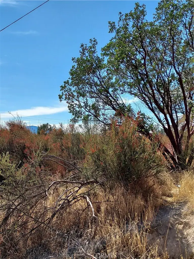 16301 11th, Clearlake, CA 95422 - #1