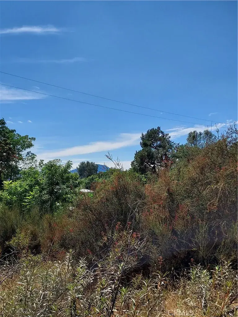 16301 11th, Clearlake, CA 95422 - #2