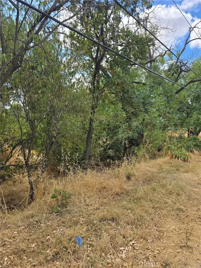 1466 Hammonton Smartsville, Linda, CA 95901 - #1