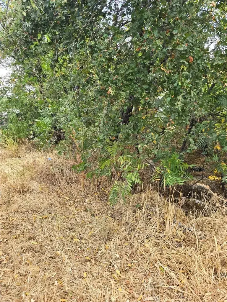 1466 Hammonton Smartsville, Linda, CA 95901 - #2