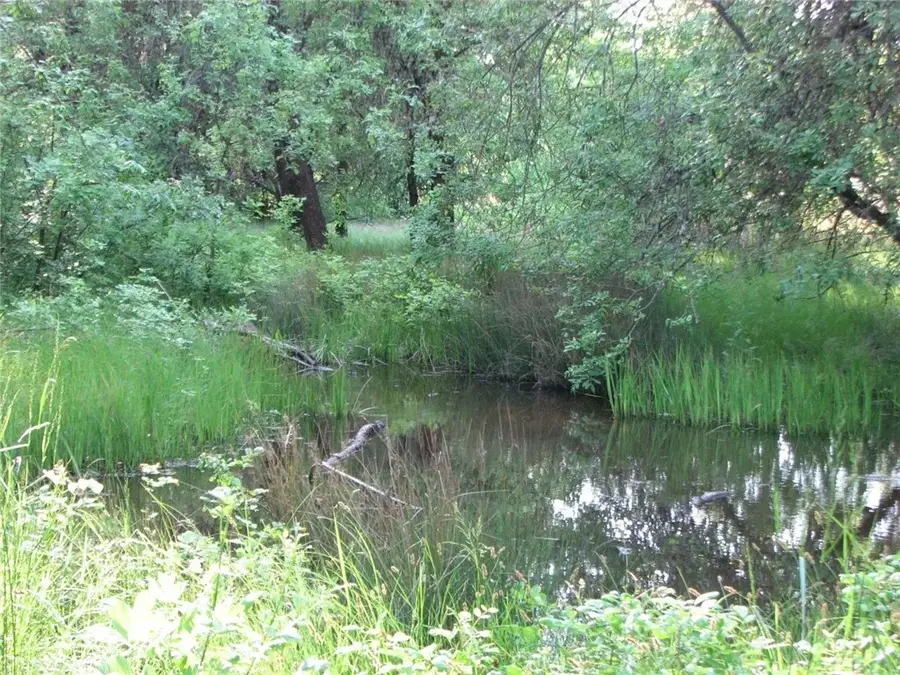 10545 Bachelor Valley, Witter Springs, CA 95493 - Image #2