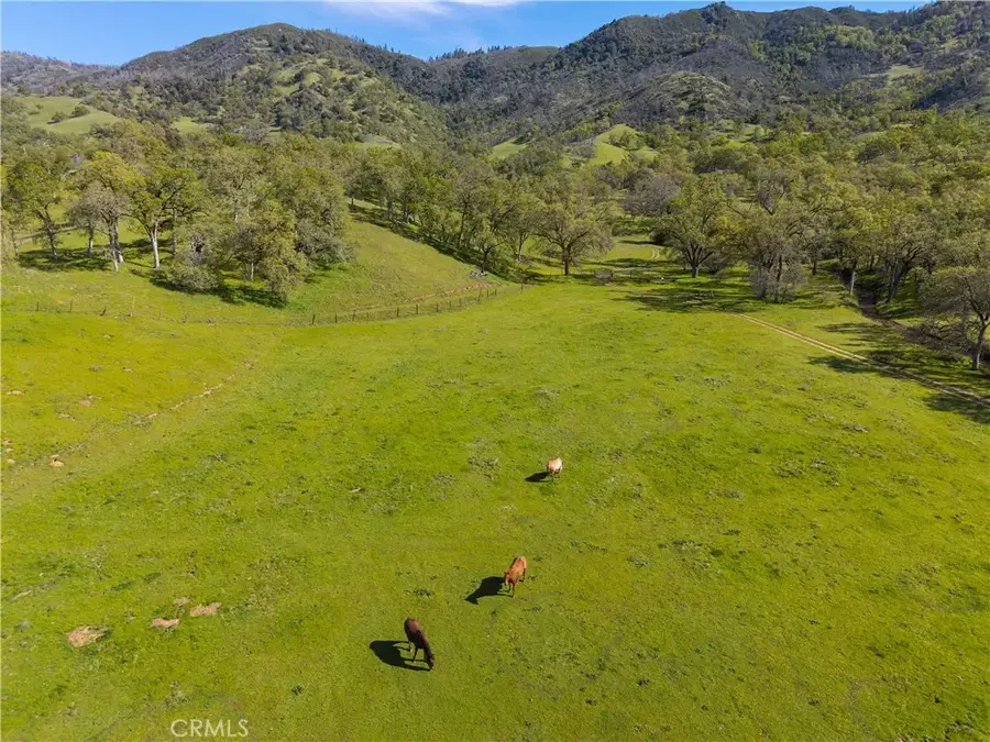 10950 Bachelor Valley Road, Upper Lake, CA 95485 - #3