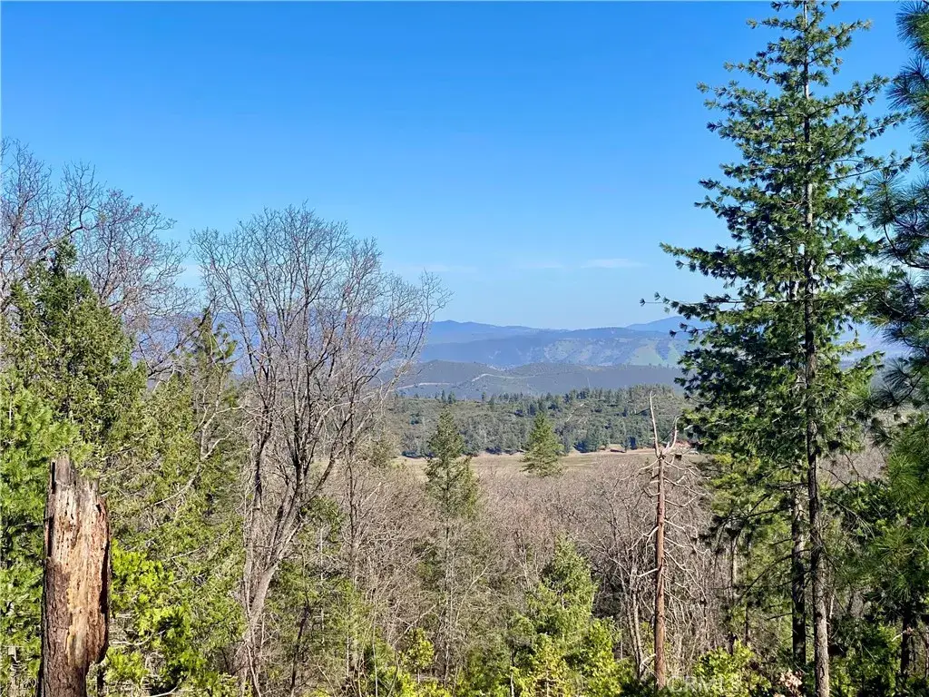 10130 Seigler Springs North, Kelseyville, CA 95451 - #1
