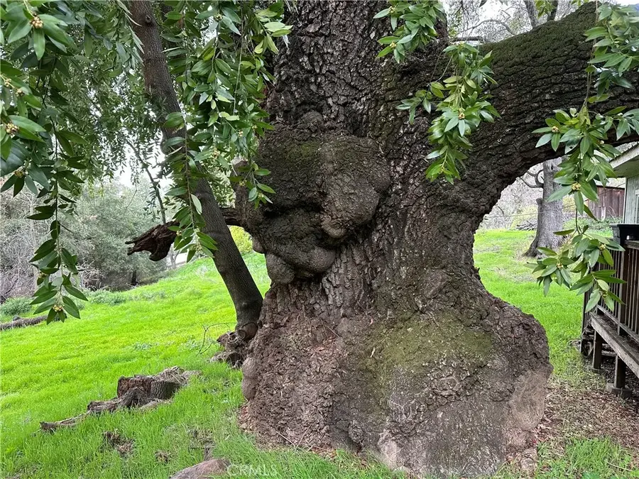 7004 E. Hwy 20, Lucerne, CA 95458 - #2