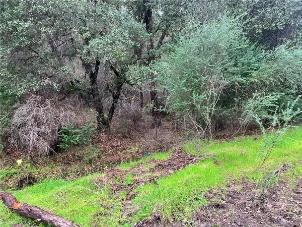 12215 Mountain View, Clearlake Oaks, CA 95423