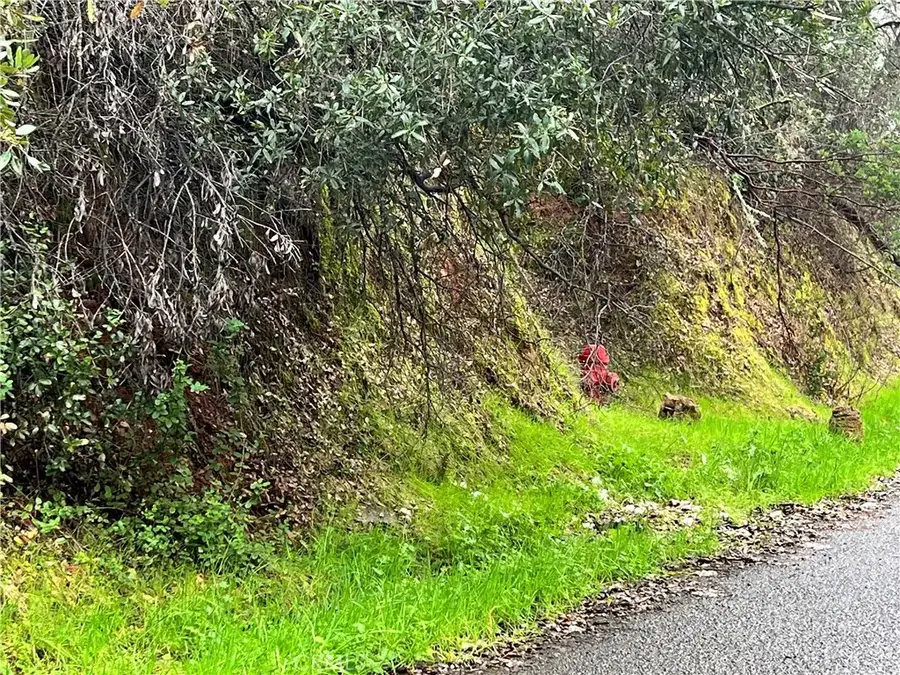 7022 Black Oak, Nice, CA 95464 - #2