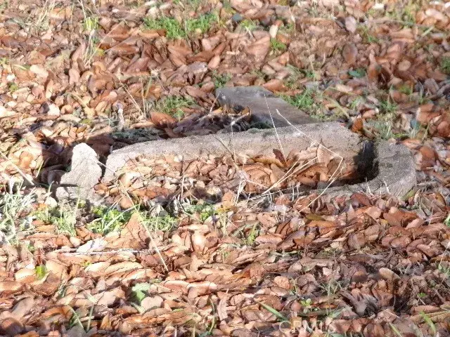 3088 Riviera Heights, Kelseyville, CA 95451 - #3