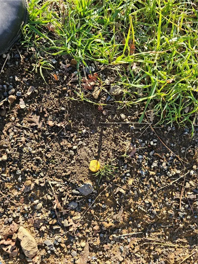 10167 Bell South, Lower Lake, CA 95457 - #3