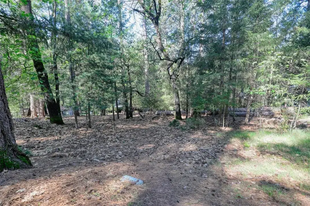 16303 Niblick, Cobb, CA 95426 - #1