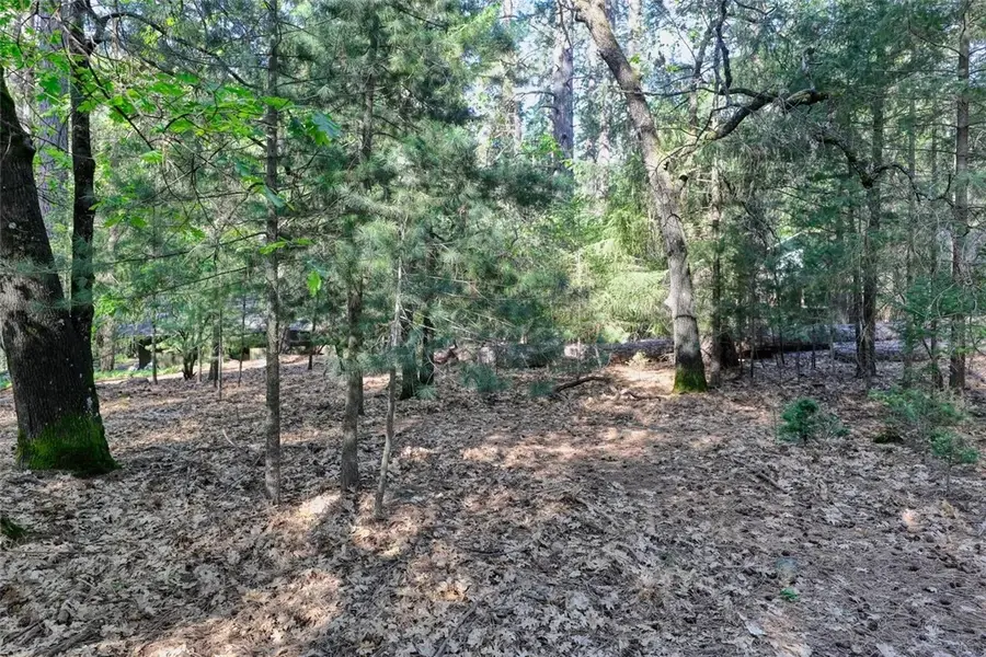 16303 Niblick, Cobb, CA 95426 - #2