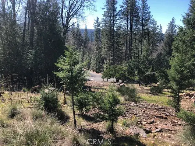 8713 Fox, Cobb, CA 95426 - #2