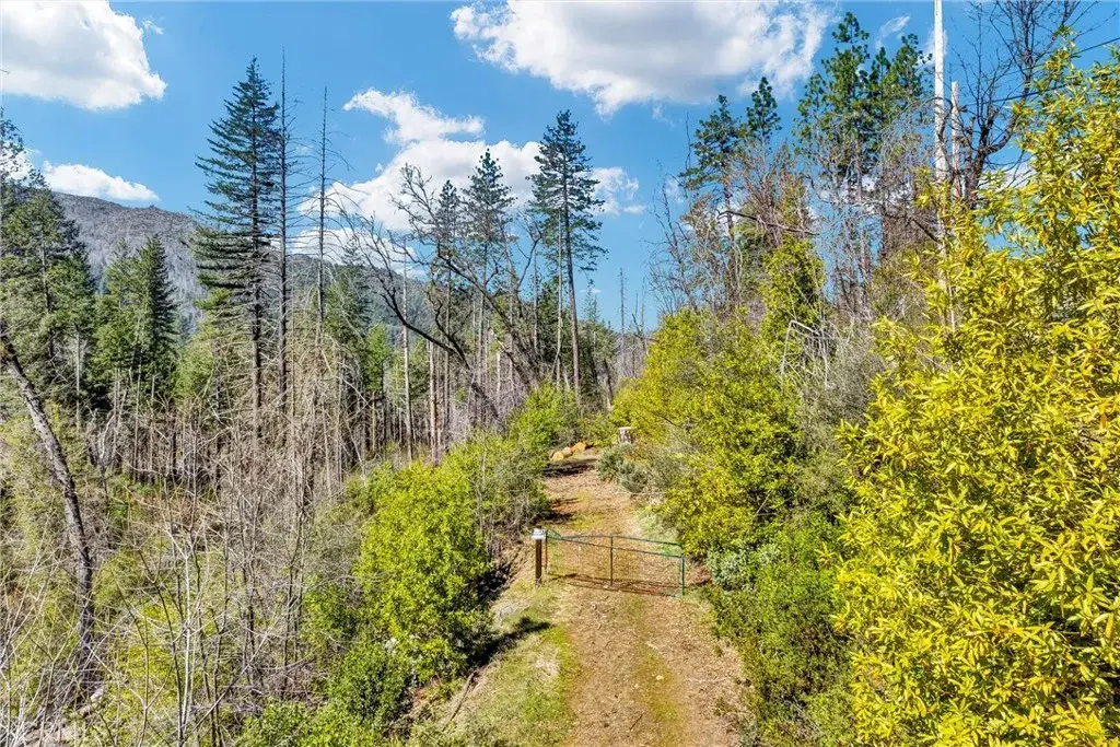 12061 Gifford Springs, Cobb, CA 95426 - #1