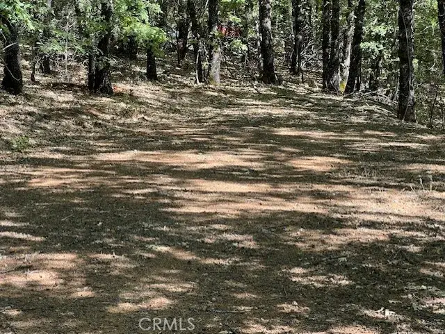 9208 Diamond Dust, Kelseyville, CA 95451 - #2