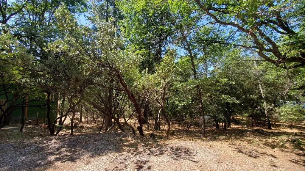 11545 Loch Lomond, Lake, CA 95461 - #1