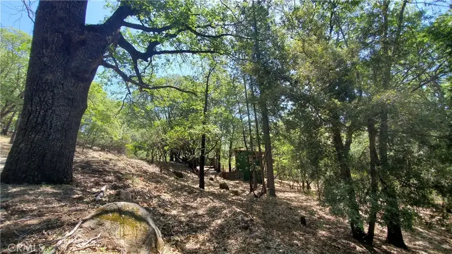 11545 Loch Lomond, Lake, CA 95461 - #2