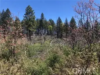 6847 High Valley, Lucerne, CA 95458 - #1