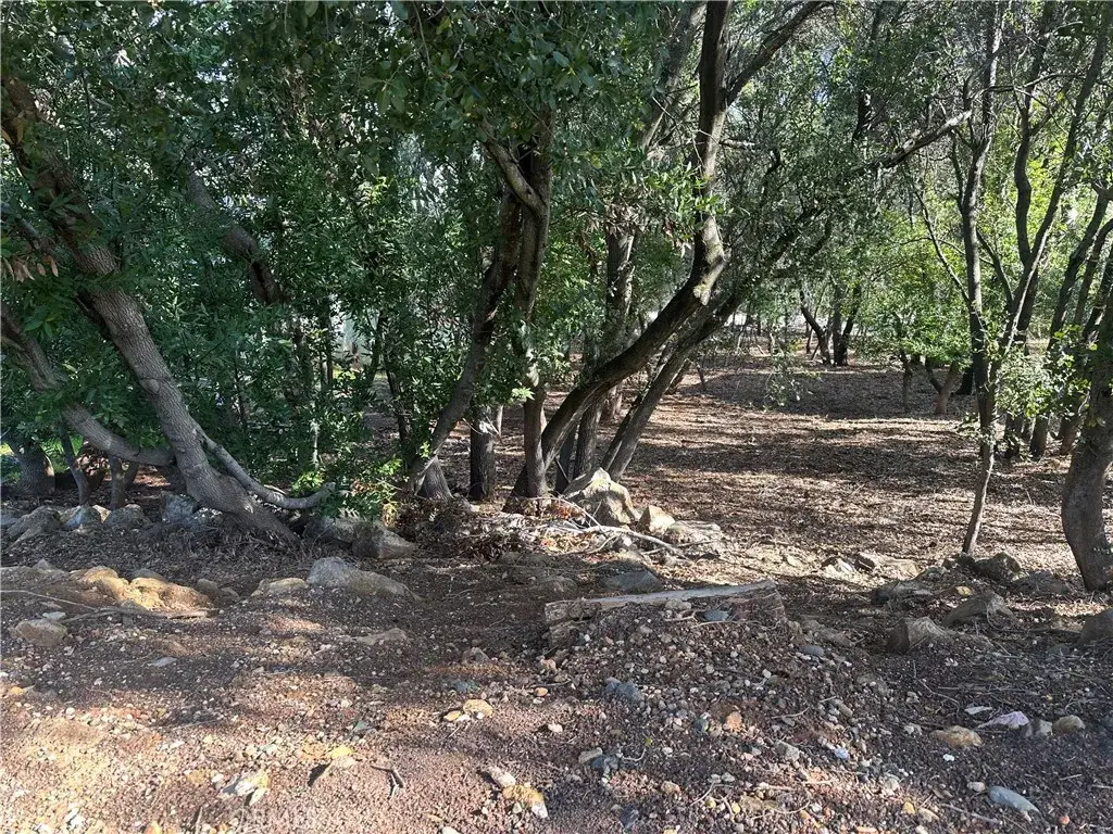 3470 Shoreline View, Kelseyville, CA 95451 - #1