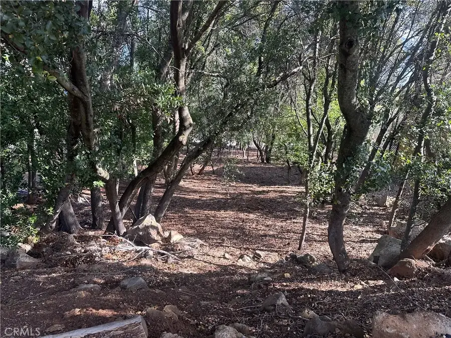 3470 Shoreline View, Kelseyville, CA 95451 - #3