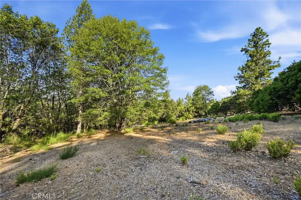 9003 Fox, Cobb, CA 95426 - #1