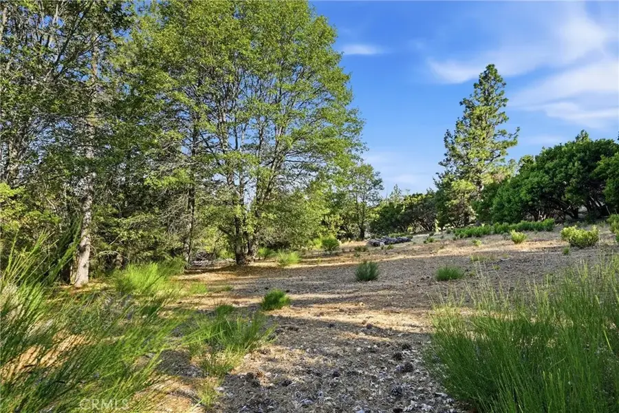 9003 Fox, Cobb, CA 95426 - #2
