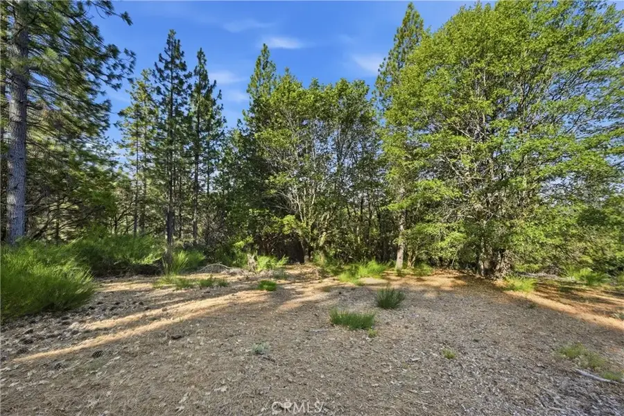 9003 Fox, Cobb, CA 95426 - #3