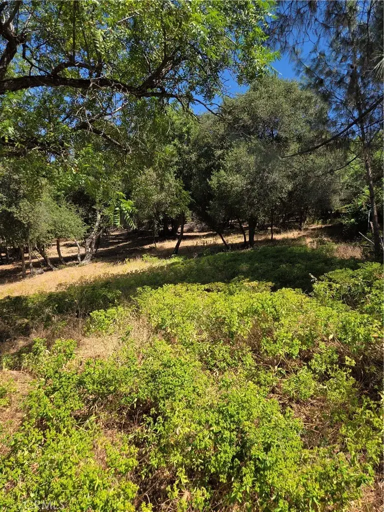4860 Cascade Way, Kelseyville, CA 95451 - #2