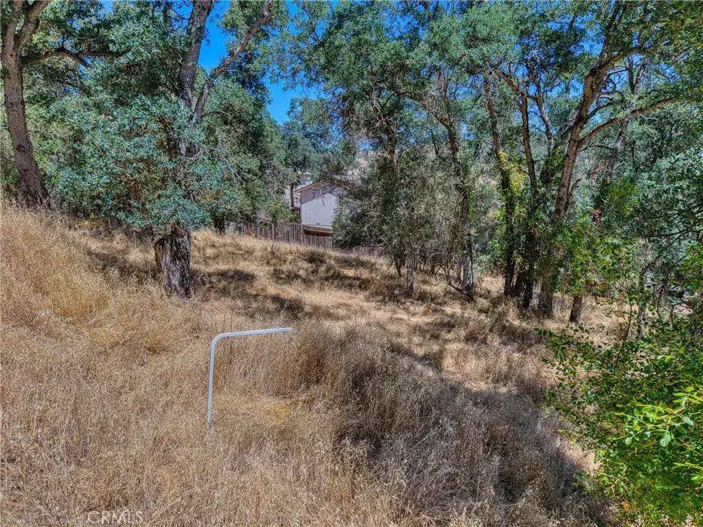 13020 Ridge, Clearlake, CA 95422 - #1