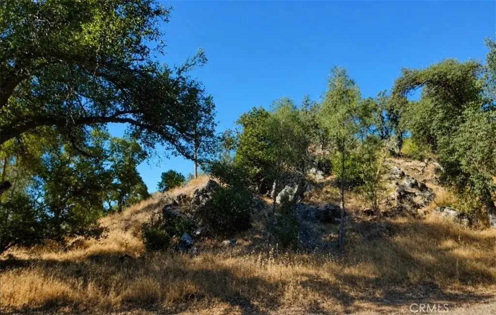 3695 Spring Valley Rd, Clearlake Oaks, CA 95423 - #1
