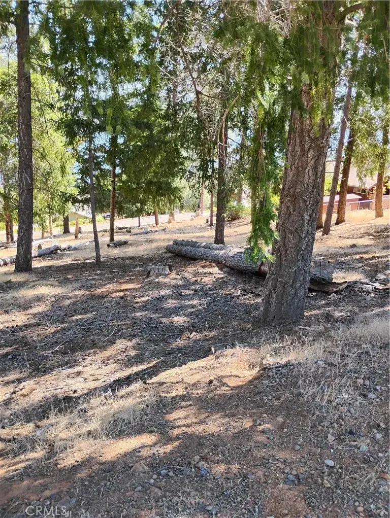 3556 Meadow Wood, Kelseyville, CA 95451 - #1