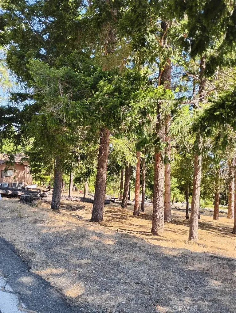 3556 Meadow Wood, Kelseyville, CA 95451 - #2
