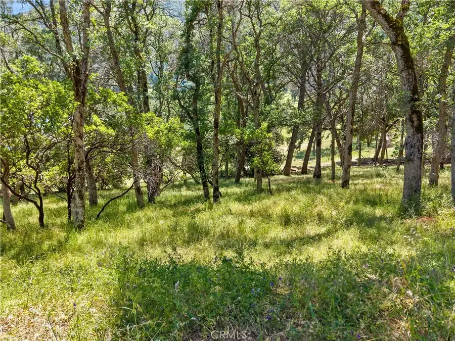 8259 Little Borax Lake Rd, Kelseyville, CA 95451 - #2