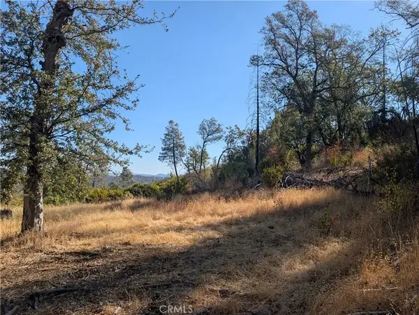 14127 Ettawa Springs, Loch Lomond, CA 95461