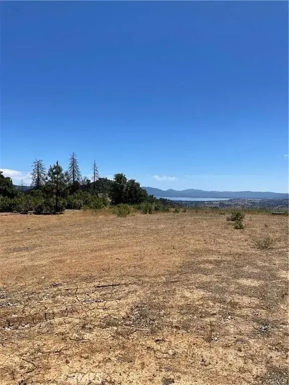1975 Hunter Point, Upper Lake, CA 95485